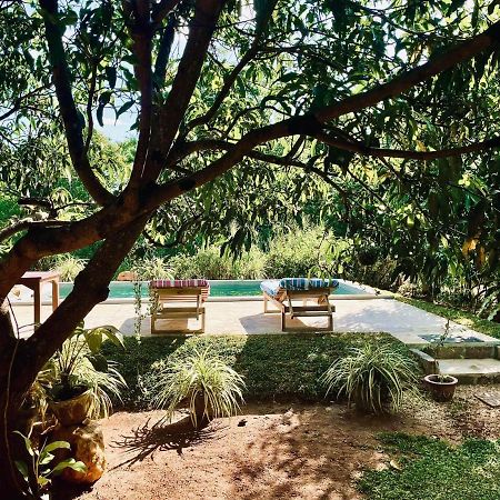 Shan Mango Homestay Sigiriya Eksteriør bilde