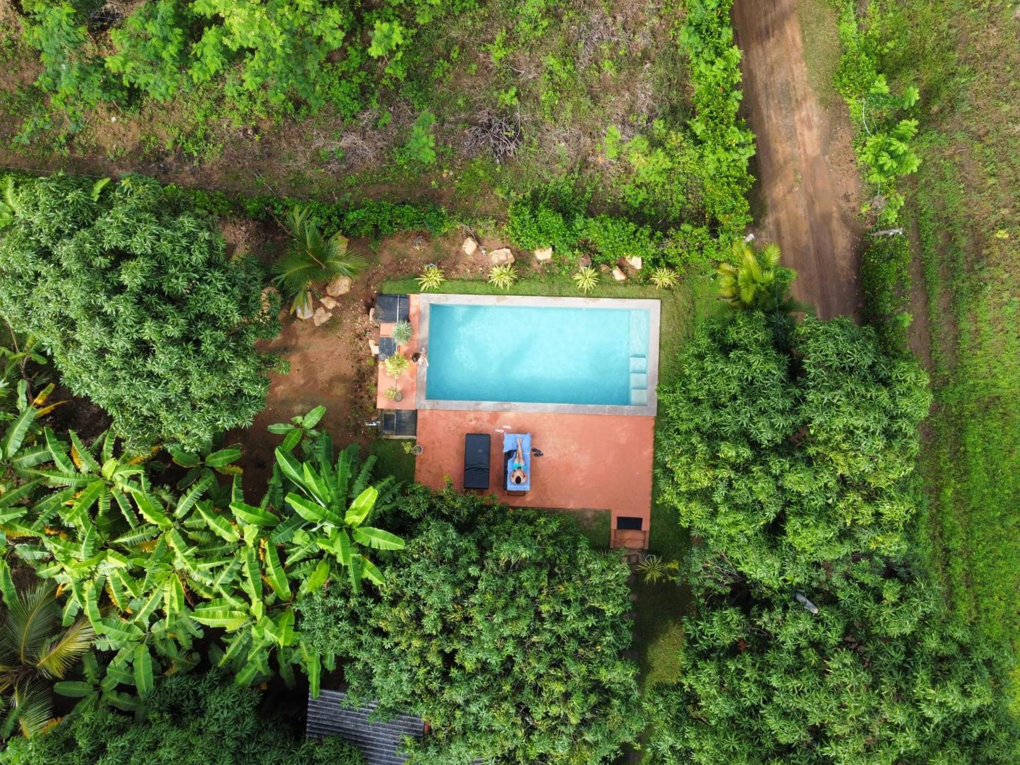 Shan Mango Homestay Sigiriya Eksteriør bilde