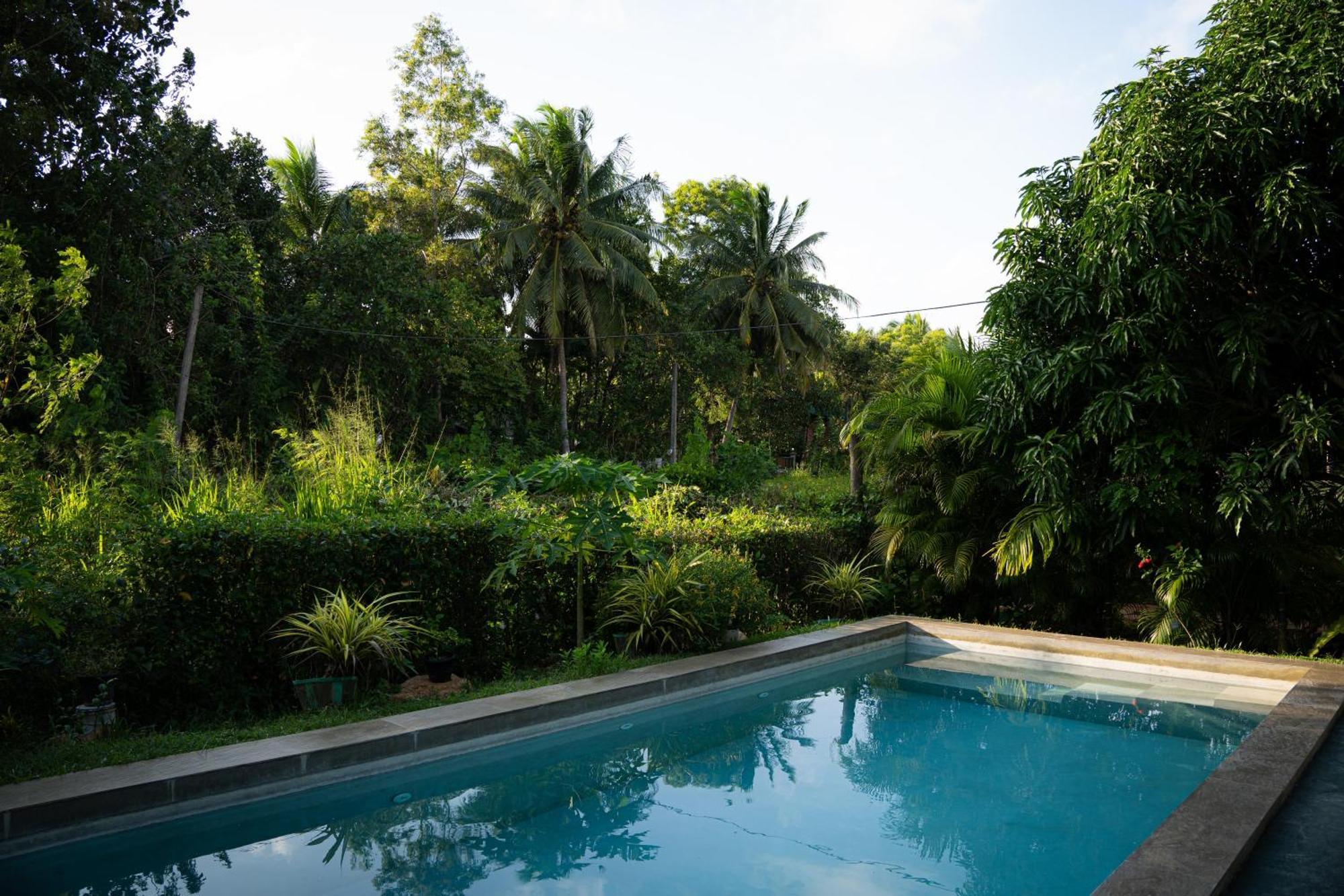 Shan Mango Homestay Sigiriya Eksteriør bilde