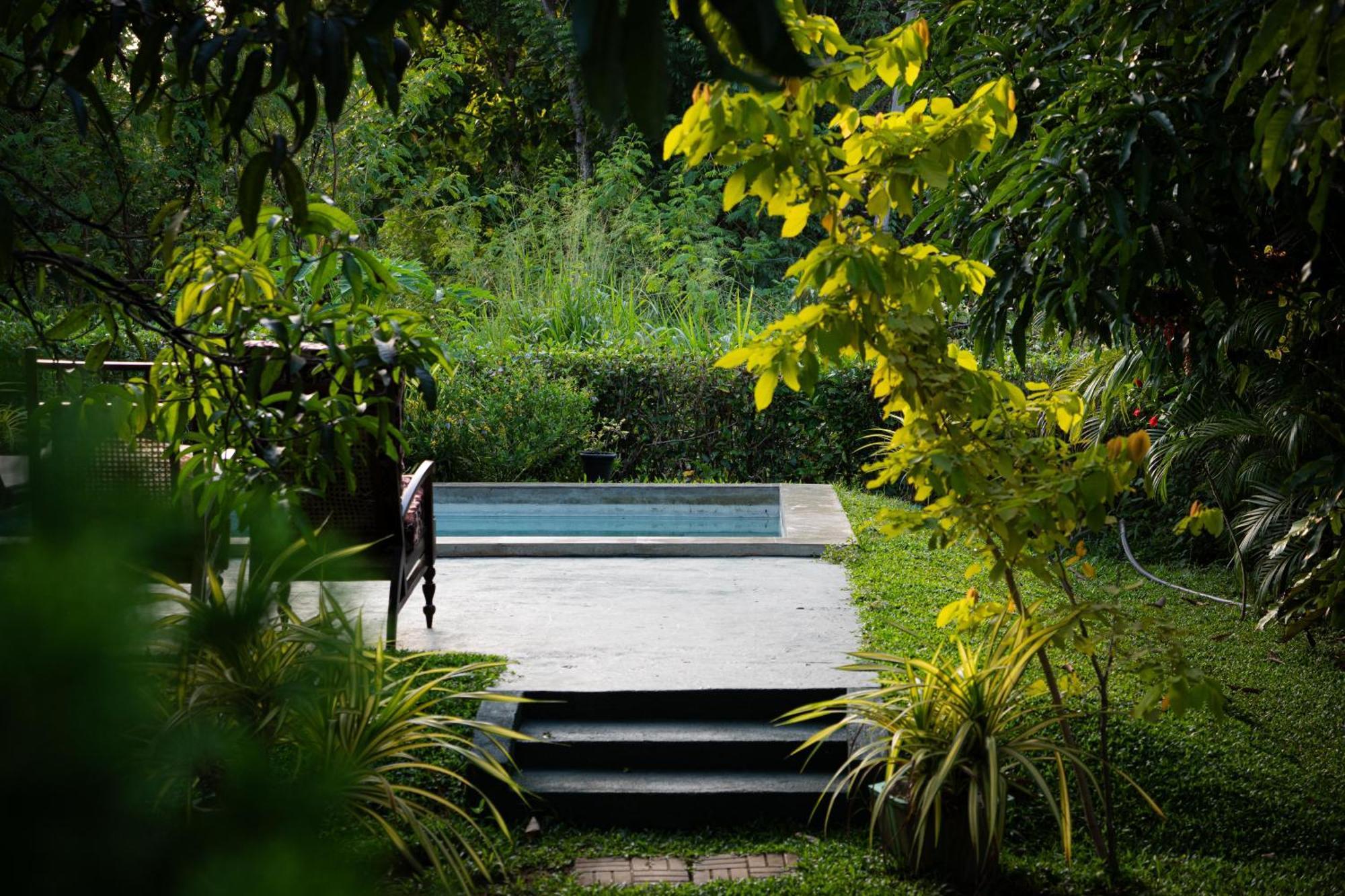 Shan Mango Homestay Sigiriya Eksteriør bilde