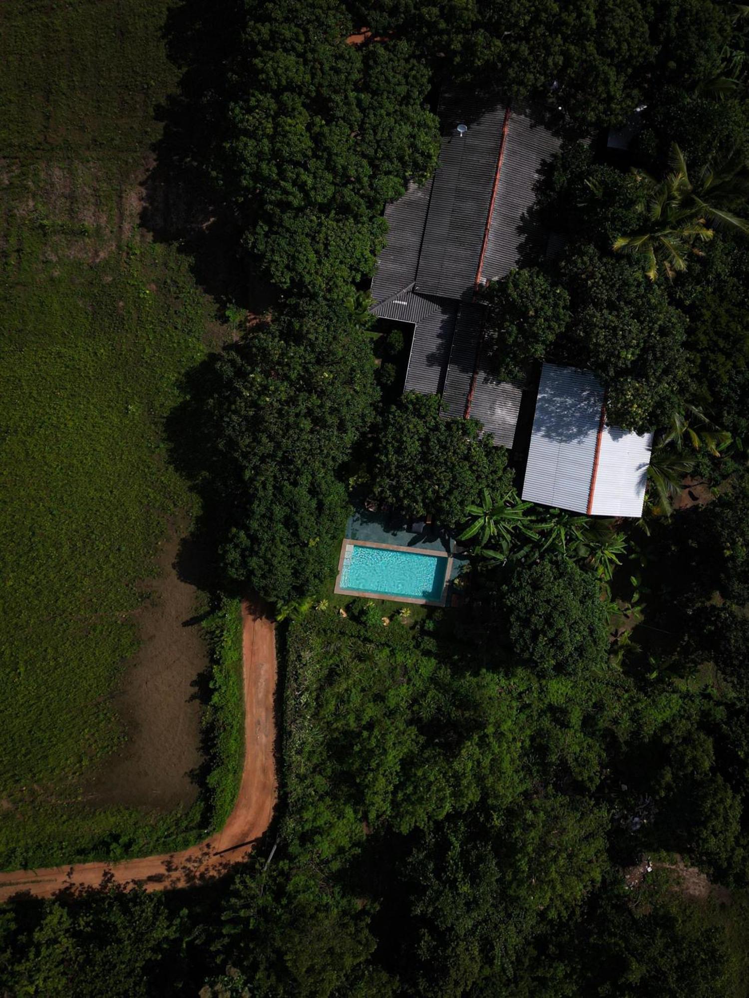 Shan Mango Homestay Sigiriya Eksteriør bilde