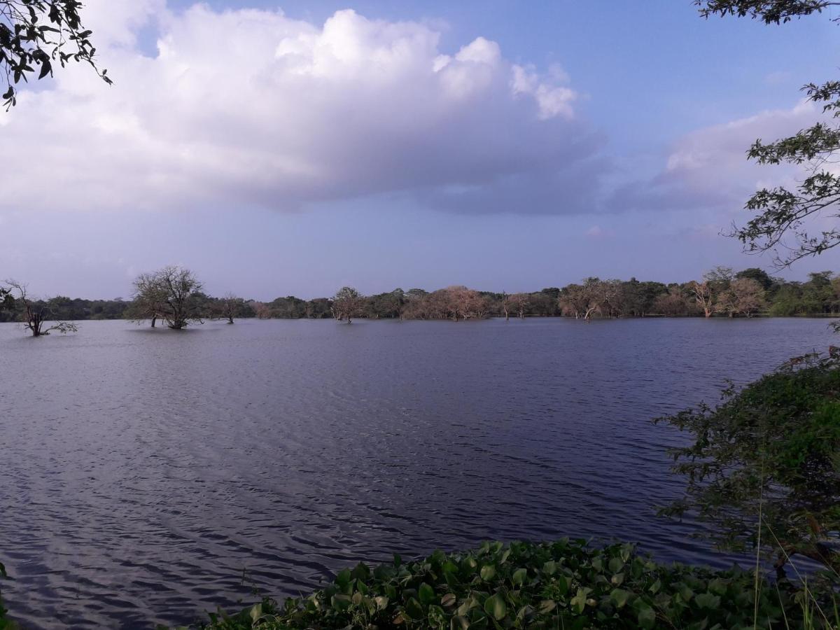 Shan Mango Homestay Sigiriya Eksteriør bilde